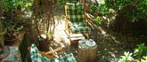 Un angolo del giardino