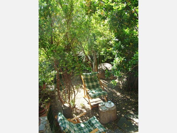 Vista del giardino