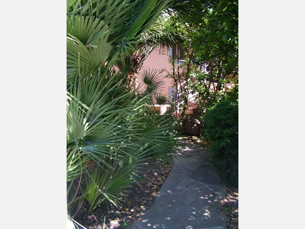 Vista del giardino